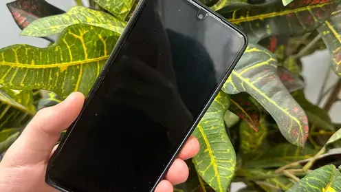 5204451785597645237