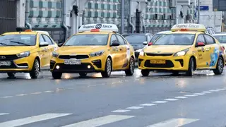 В Красноярске заработал социальный проект «Помощь рядом»