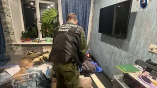 В Красноярске мать подозревают в покушении на убийство своего 3-летнего сына
