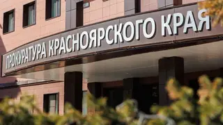 Рост интернет-преступности в Красноярском крае: с начала года от действий мошенников пострадали почти четыре тысячи человек