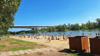 В Красноярске благоустроят острова Татышев и Бобровый за 1,9 млрд рублей