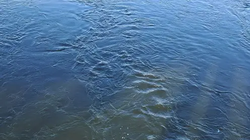 вода река утонули енисей