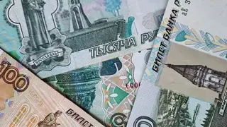 В Красноярске до конца осени запустят автобус финансовой грамотности