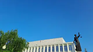 Подросток и трое его друзей «кинули» мошенников и сами получили условный срок в Красноярске