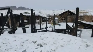 Женщина в Красноярском крае фиктивно зарегистрировала мигрантов в сгоревшем доме