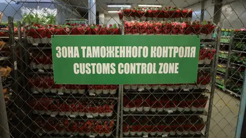 _____