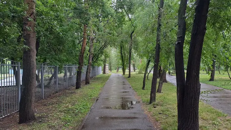 погода дождь парк лужи