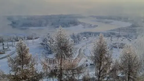 погода зима снег ели