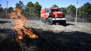 Высокий риск лесных пожаров сохранится в трех округах Приморья до 11 мая Высокий риск лесных пожаров сохранится в трех округах Приморья до 11 мая