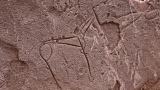 Древние рисунки эпохи раннего железного века нашли в Хакасии Древние рисунки эпохи раннего железного века нашли в Хакасии