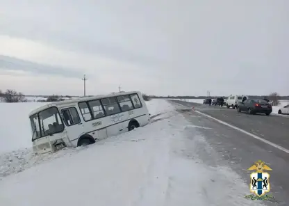 автобус222