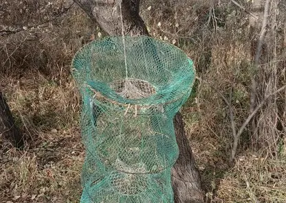 5458522693411404789