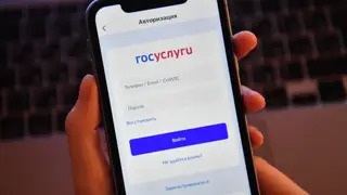 Фотобанк потерявшихся домашних животных может появиться на Госуслугах Фотобанк потерявшихся домашних животных может появиться на Госуслугах