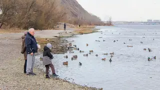 Красноярцев ждут пасмурные, но теплые сентябрьские выходные