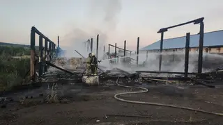 В Красноярске сгорел склад с зерном В Красноярске сгорел склад с зерном