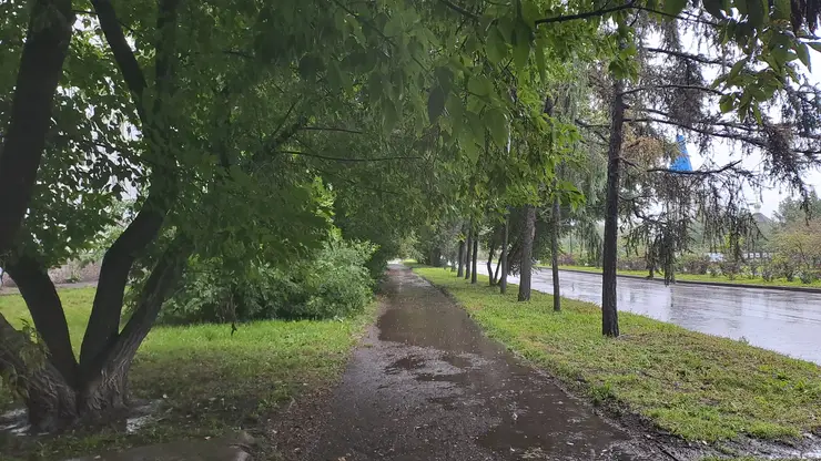 Дождь погода лужи лужа