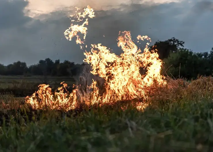 fire-steppe-grass-is-burning-destroying-everything-its-path_169016-13759