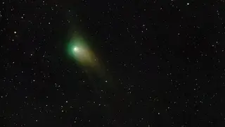 Жителю Новосибирска удалось снять полет самой редкой кометы 2023 года Жителю Новосибирска удалось снять полет самой редкой кометы 2023 года