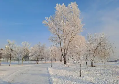 погода зима снег небо
