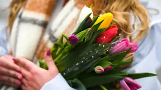 В Новосибирске к 8 Марта резко подорожали цветы: тюльпаны, мимоза и растения в горшках