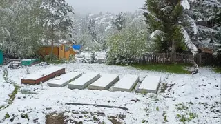 50 тыс. за траву: красноярцам грозят огромные штрафы за заросшие участки