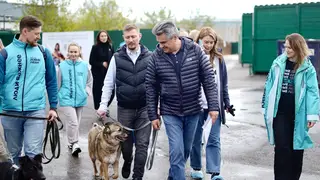 Остановить домашнее насилие, спасти животных, помочь матерям — топ-3 инициативы «Новых людей» для красноярцев Остановить домашнее насилие, спасти животных, помочь матерям — топ-3 инициативы «Новых людей» для красноярцев