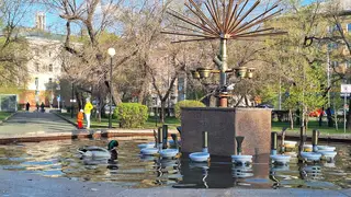 Четверг в Красноярске станет самым холодным днем недели