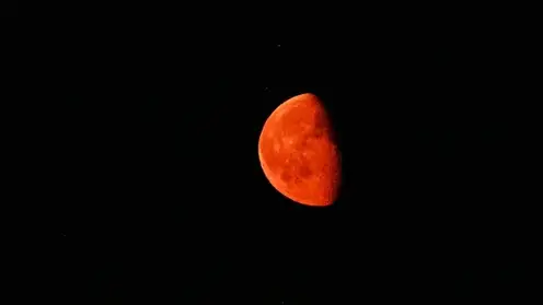 RIA_8749614.LR
