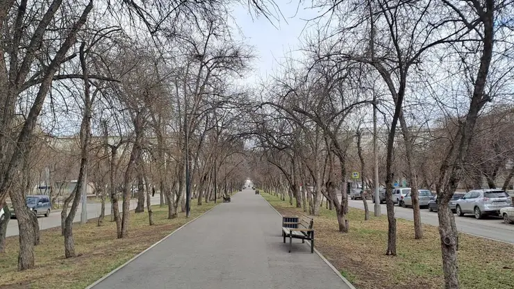 аллея лавочка сквер