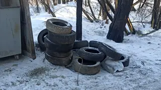 8 КамАЗов автомобильных покрышек вывезли с улиц Ленинского района с начала года