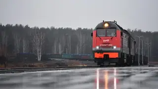 Двое человек погибли под колёсами грузовых поездов в Кемеровской области