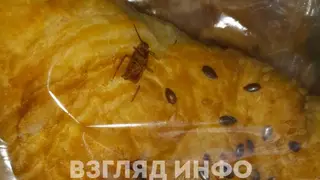 Житель Курагинского района купил самсу с тараканом