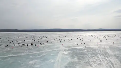 Снимок экрана 2025-03-25 в 17.37.21