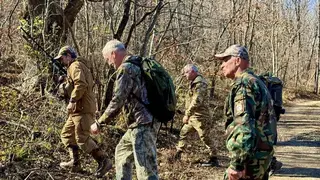 Новый этап переселения дальневосточных леопардов стартовал в Приморье