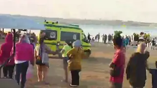 На египетском курорте Хургада туристка погибла из-за напавшей на неё акулы На египетском курорте Хургада туристка погибла из-за напавшей на неё акулы