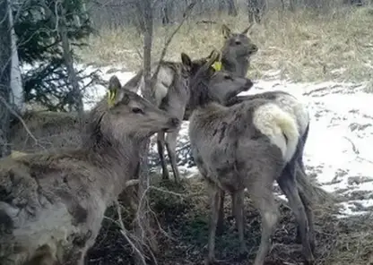 Снимок экрана 2022-11-22 094216