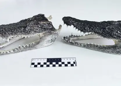 (3)