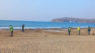 Во Владивостоке и Находке проверят загрязнение моря нефтепродуктами Во Владивостоке и Находке проверят загрязнение моря нефтепродуктами