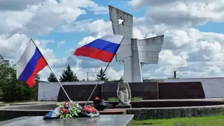 Явка на референдум в ДНР и ЛНР составила почти 80 %