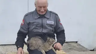 Церковный кот пропал в храме Рождества Христова города Красноярска