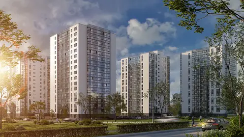 верб_общий_1_2