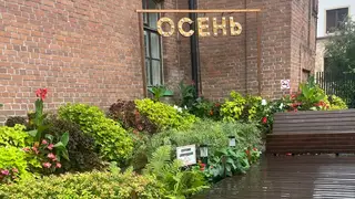 Вот и осень: что делать в Красноярске на первых сентябрьских выходных Вот и осень: что делать в Красноярске на первых сентябрьских выходных