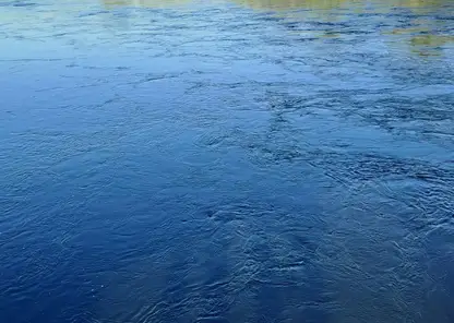 вода утонул енисей река акватория водоем