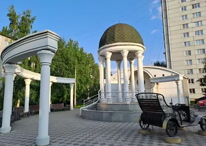 загс свадьба
