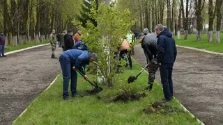 В парке ЛНР появилась аллея из Сибири