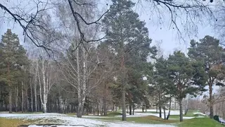 Длинная рабочая неделя в Красноярске будет дождливой и снежной