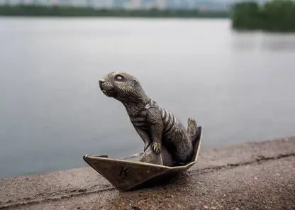 суслик