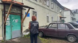 Бастрыкин заинтересовался убийством опекуна в Красноярском крае Бастрыкин заинтересовался убийством опекуна в Красноярском крае