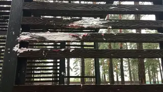 Домики для белок разгромили вандалы в эко‑парке за 60 млн в Забайкалье