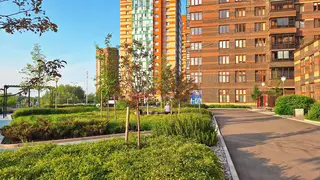 Дожди, грозы и +30: погода в Красноярске на первую неделю июля будет летней, но переменчивой